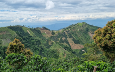 Koffie uit Colombia