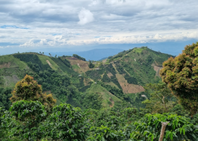 Koffie uit Colombia